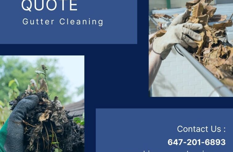 Gutter-Cleaning-Services