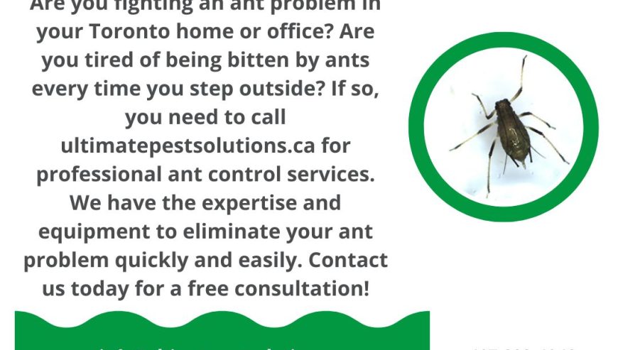 Ultimate-Pest-Solutions