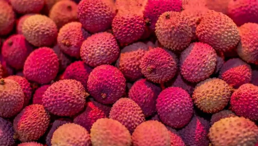 what-is-lychee-2-1024×512-1