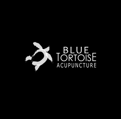 bluetortoise-logo-2