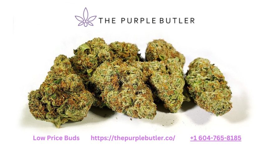 Low-Price-Bud